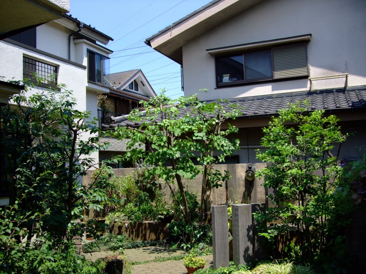 日野市にて　剪定作業