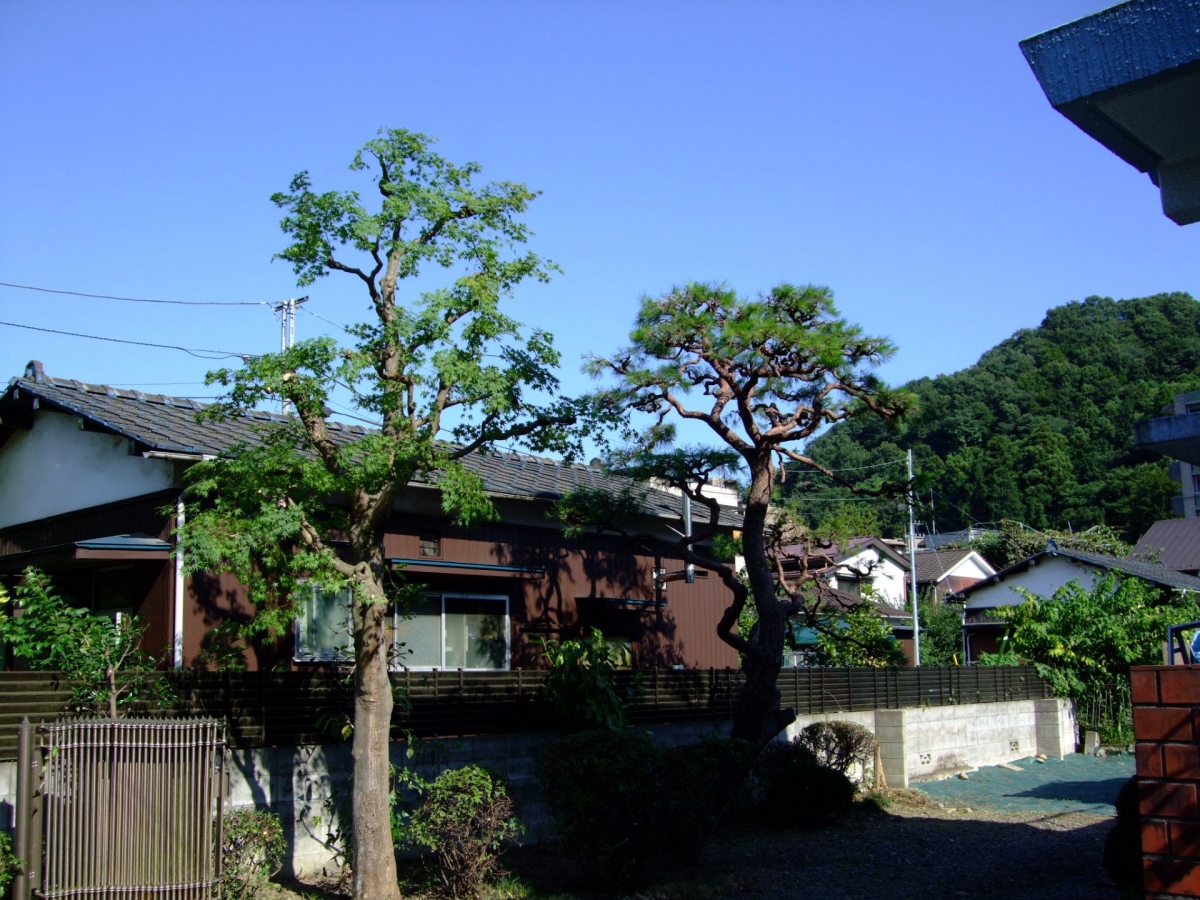 多摩市にて☆植木剪定作業